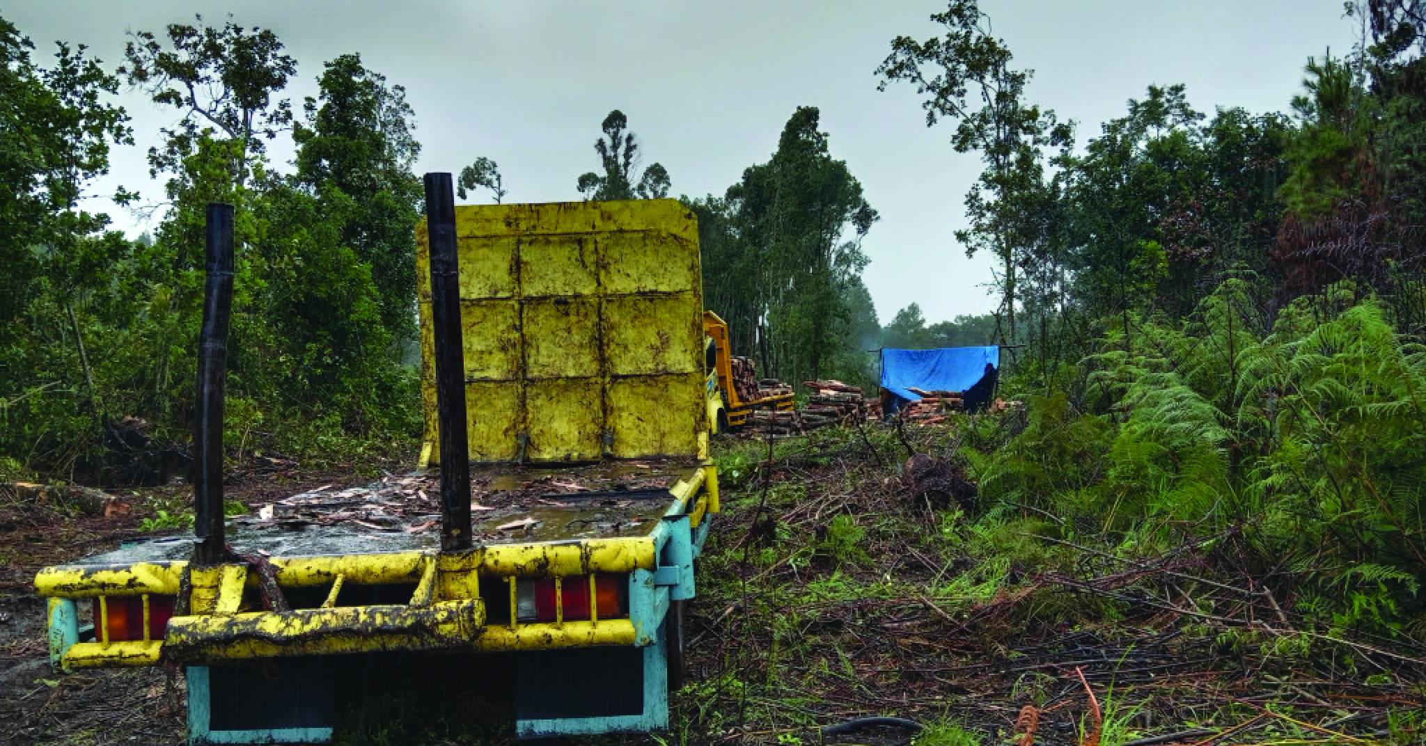 Kendaraan mengangkut kayu hasil penebangan di Humbahas, diduga dilakukan oknum anggota di musim bencana.